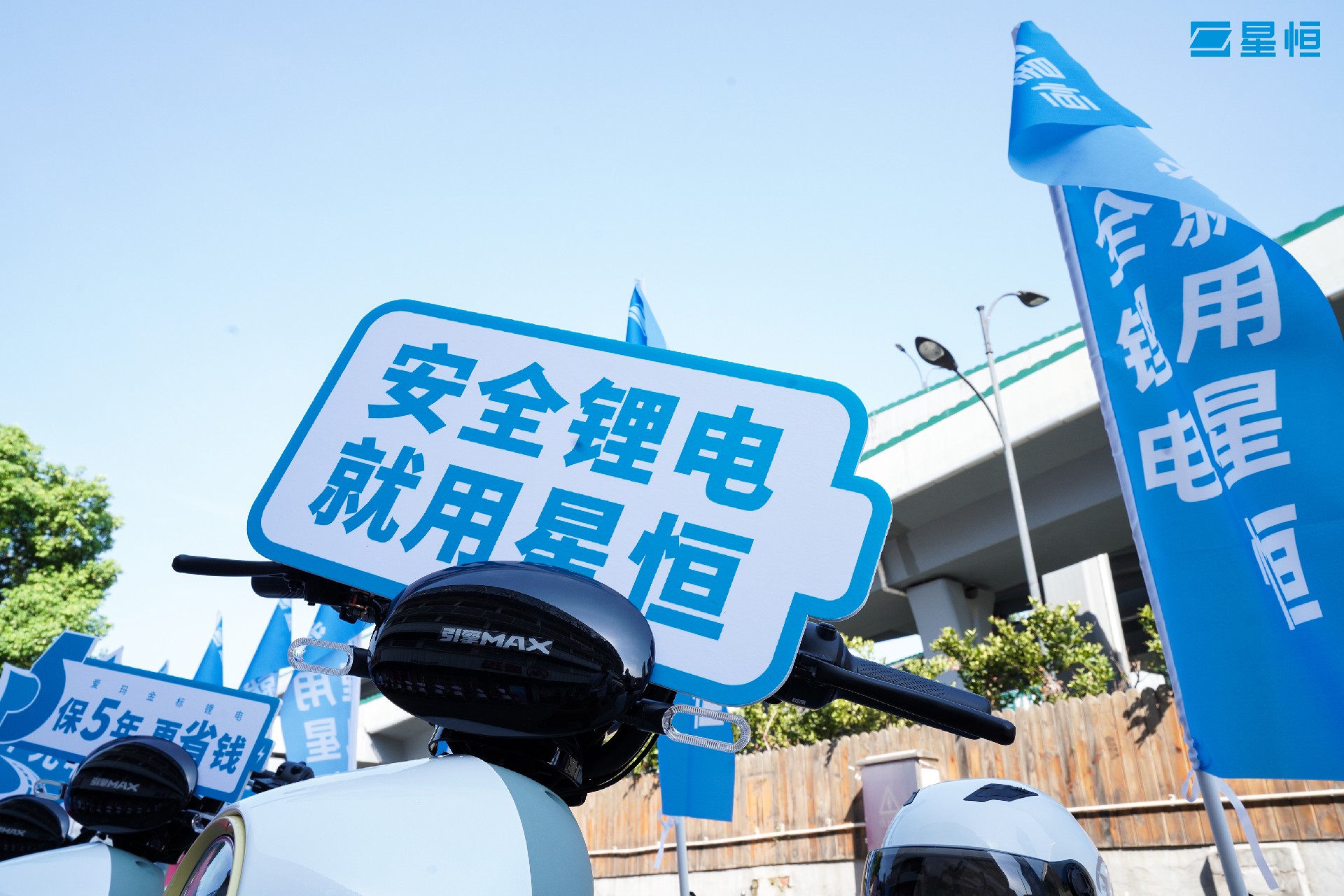 澳门摇钱树资料论坛
