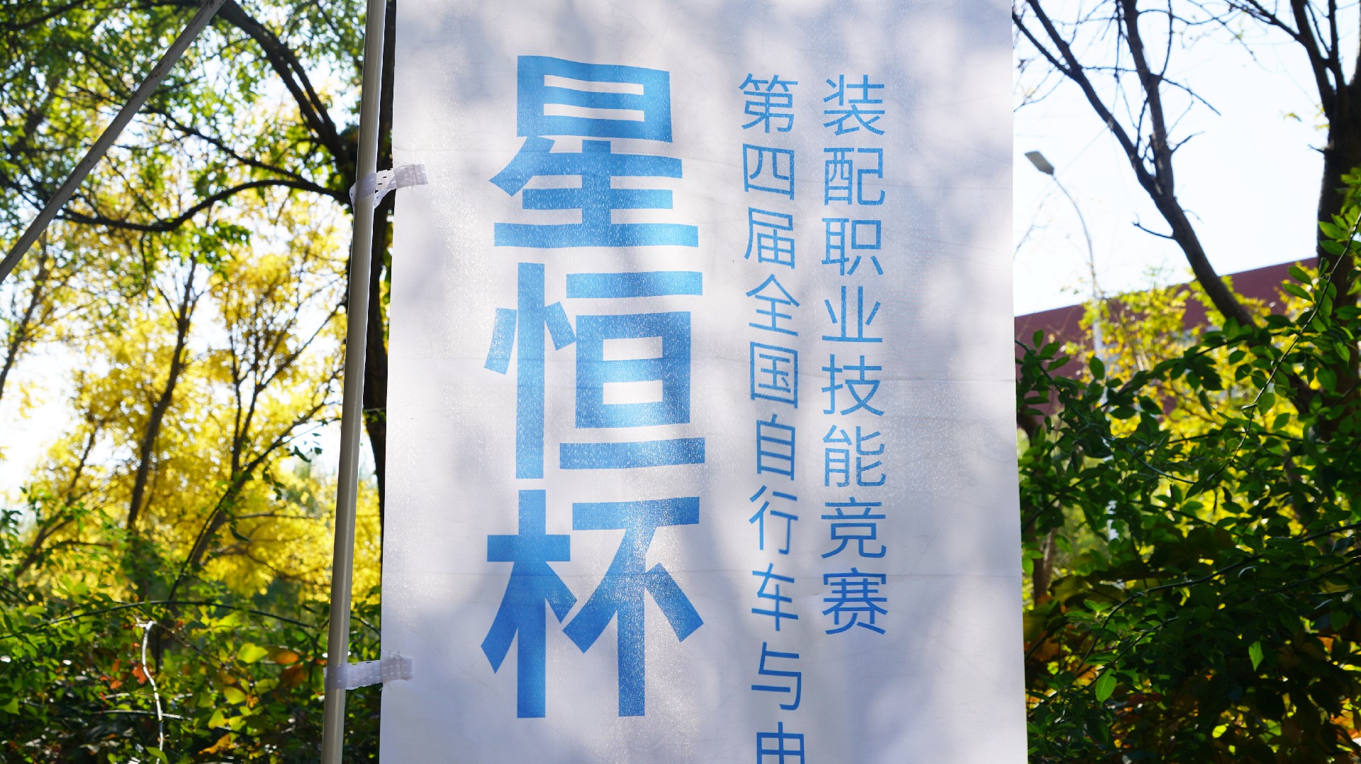 澳门摇钱树资料论坛